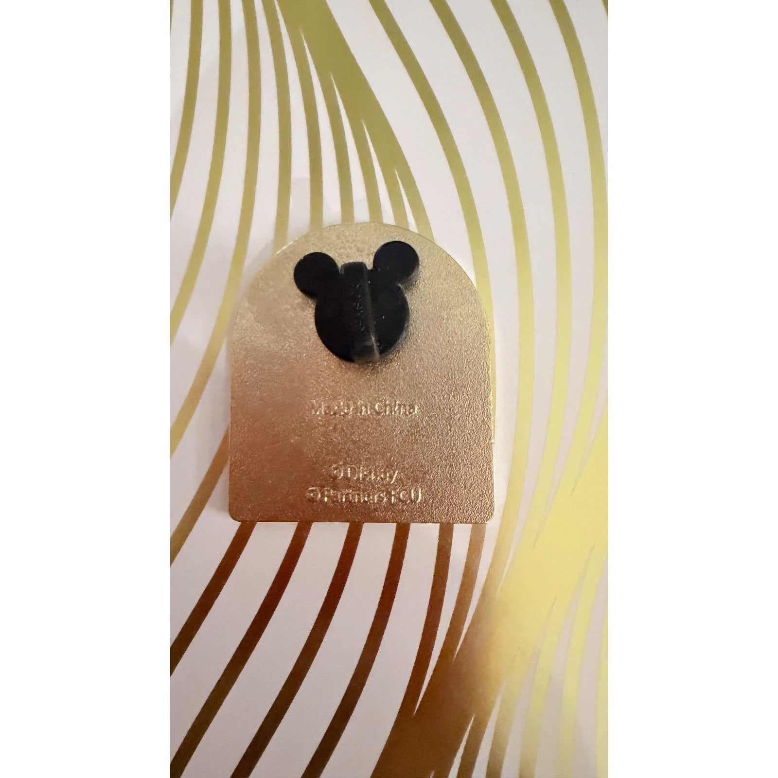 Disney Partners Federal Credit Union Epcot Branch Pin (2014)