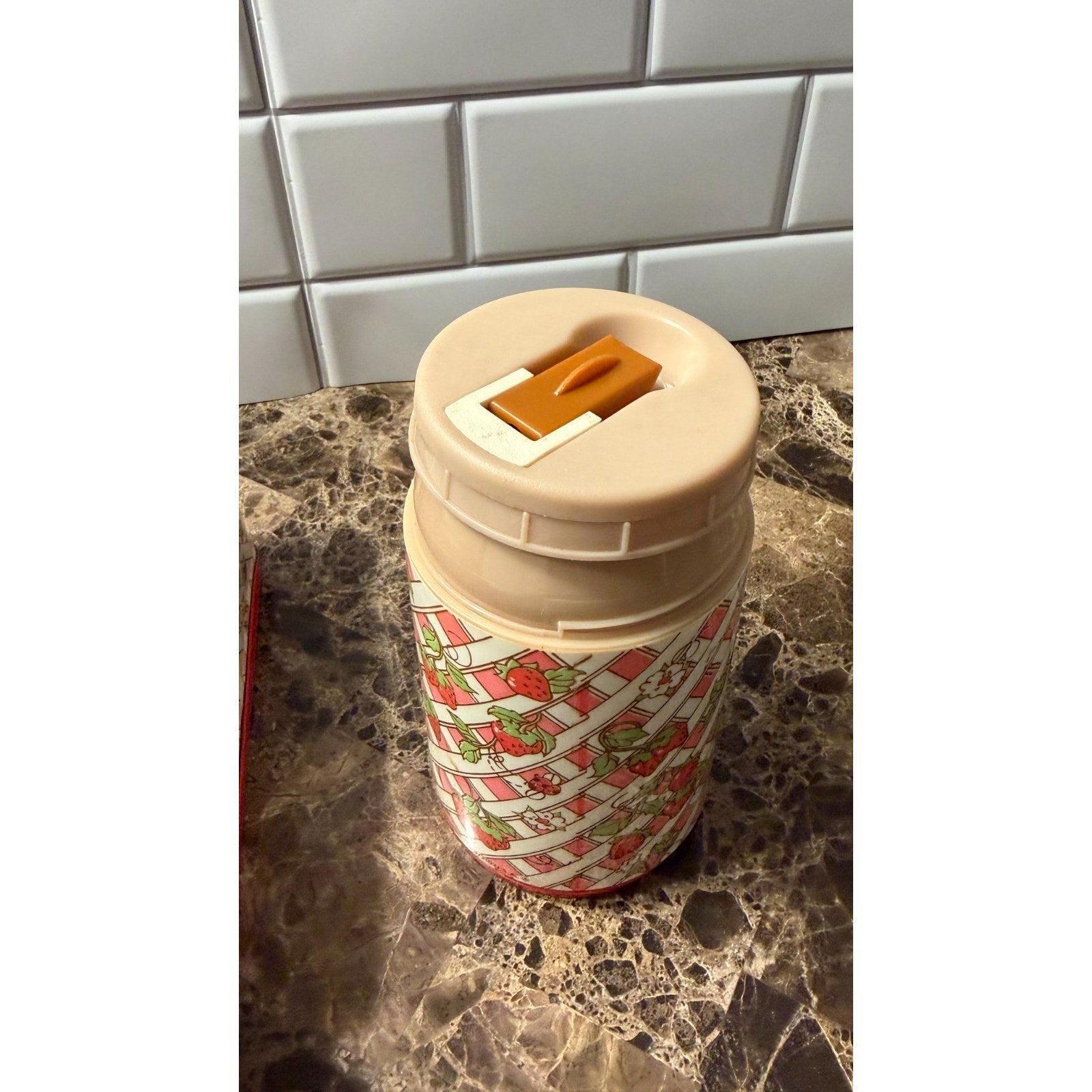 Vintage 1981 Strawberry Shortcake Metal Lunch Box & Thermos Set