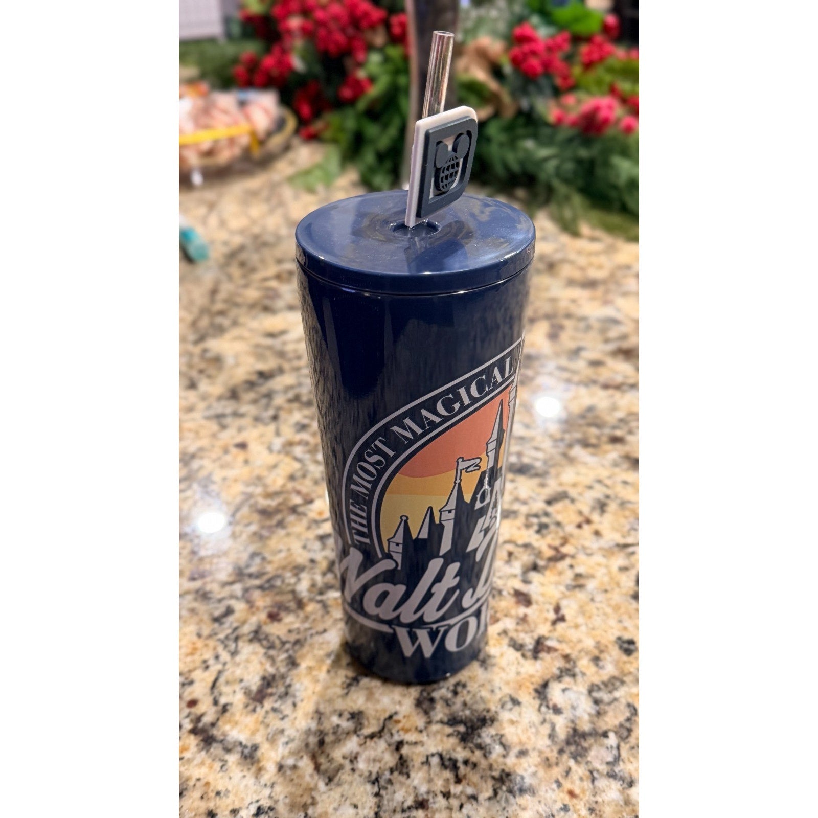 NEW Walt Disney World "Most Magical Place" 22oz Stainless Steel Tumbler