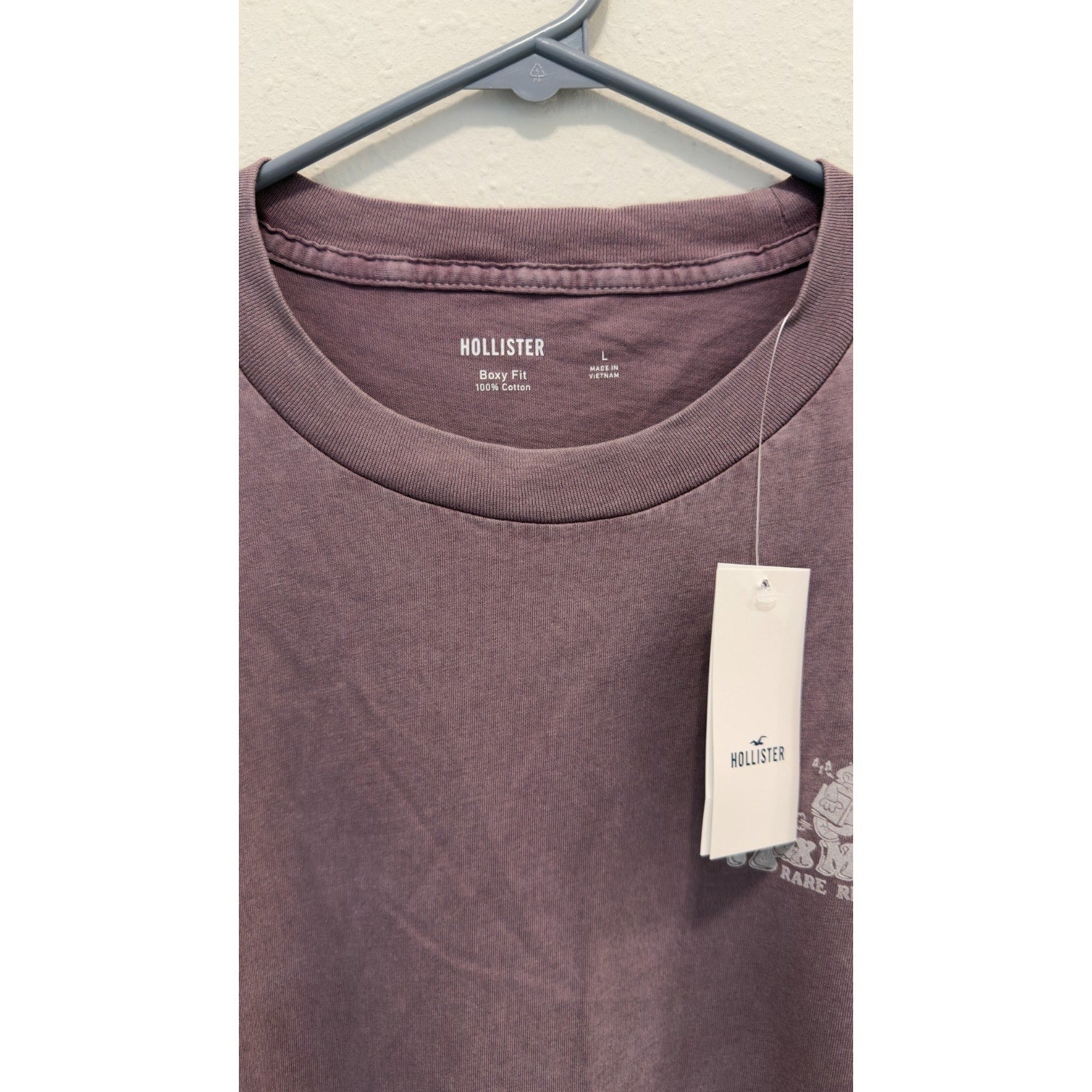 NWT Hollister Max Melody's Boxy Fit Graphic Tee Men’s Large