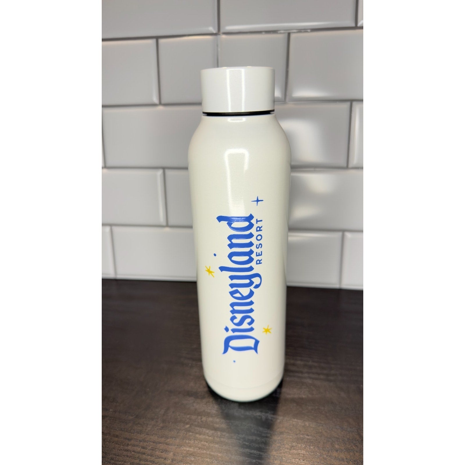 NWT Disneyland 70th Anniversary Tinker Bell Stainless Steel Water Bottle - 21 oz