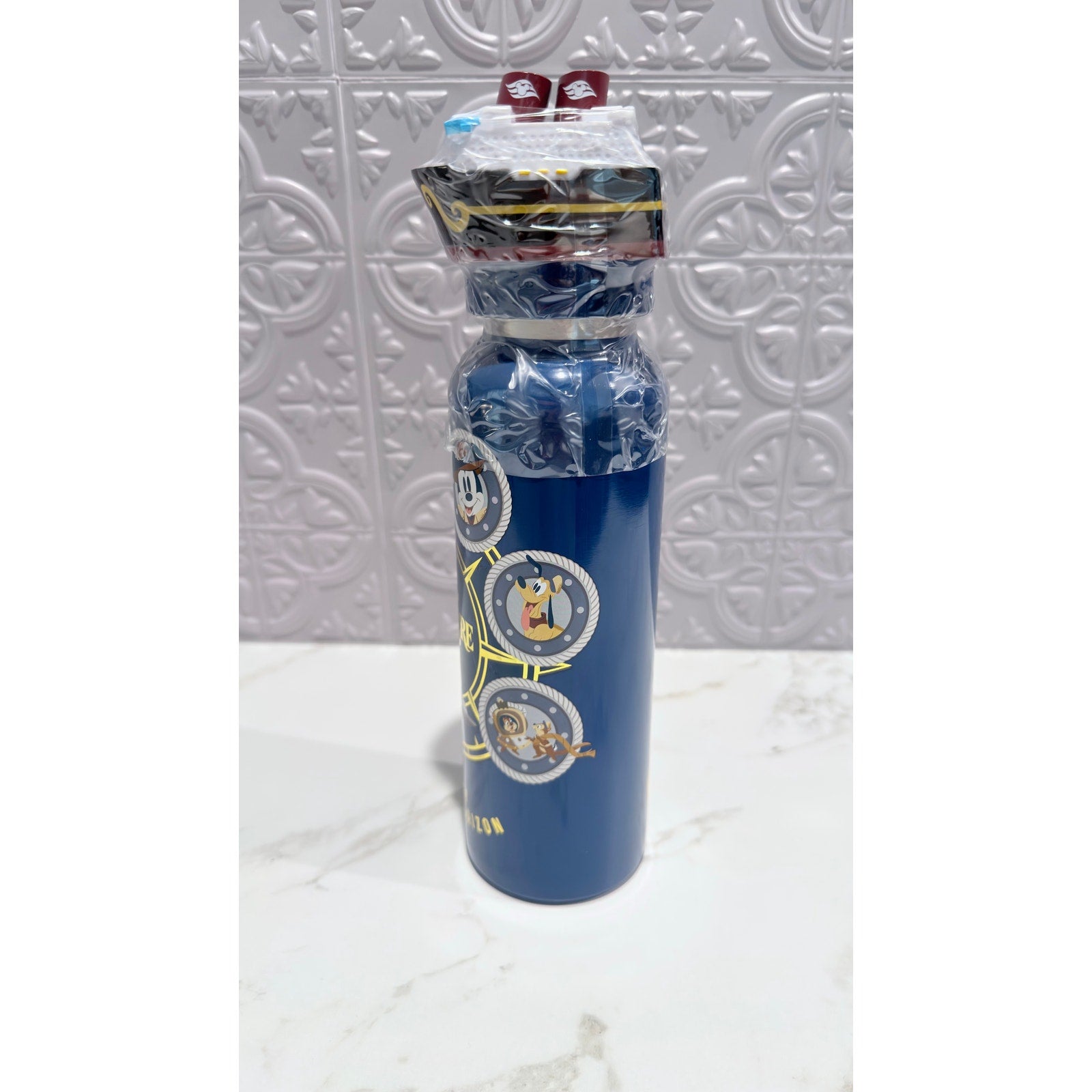 Disney Treasure Cruise Line Mickey & Friends Stainless Water Bottle 19 oz NEW