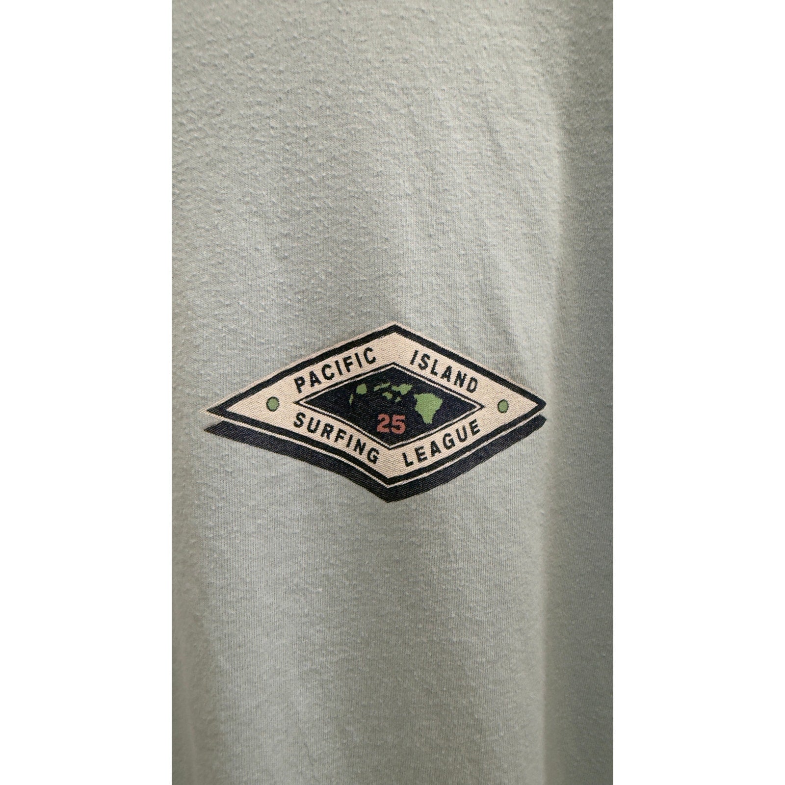 Hollister Hawaii Surf Nationals Graphic T-Shirt Boxy Fit Light Blue Size Large