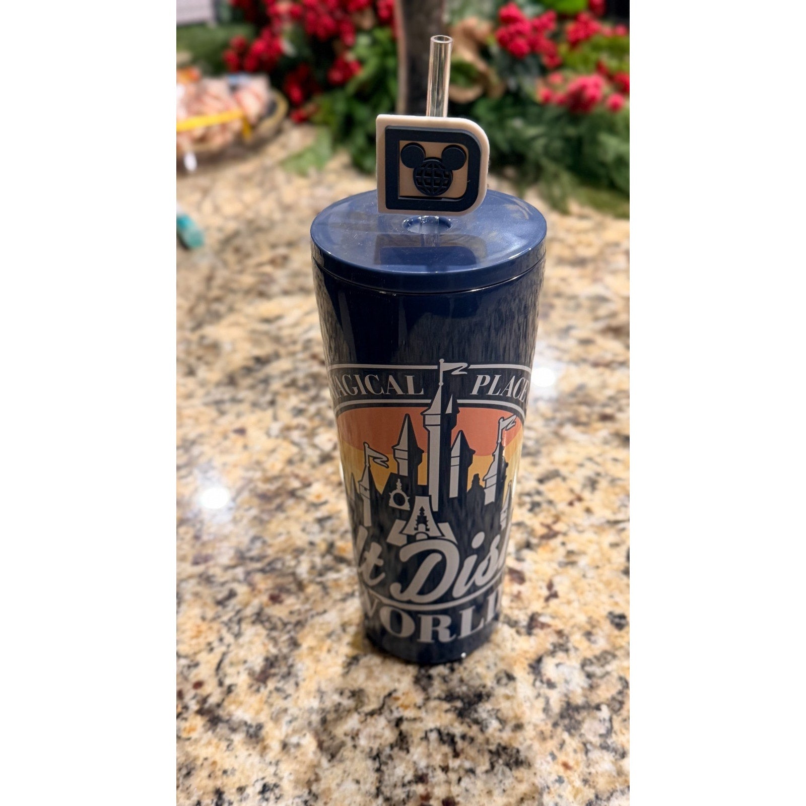 NEW Walt Disney World "Most Magical Place" 22oz Stainless Steel Tumbler