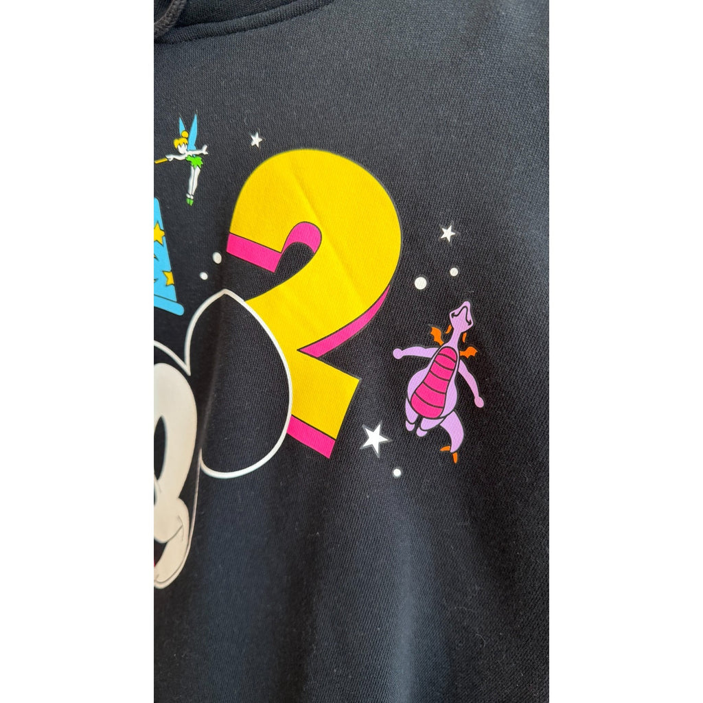NWT Disney Parks Walt Disney World 2024 Pullover Hoodie Adults Unisex Large