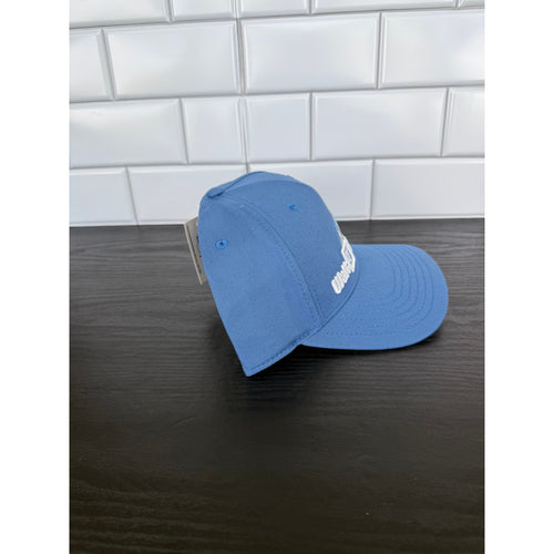 Disney Parks "Play in the Park" Mickey & Castle Cap – NWT