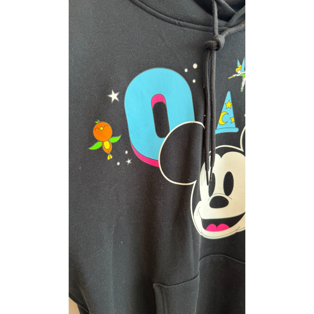 NWT Disney Parks Walt Disney World 2024 Pullover Hoodie Adults Unisex Large