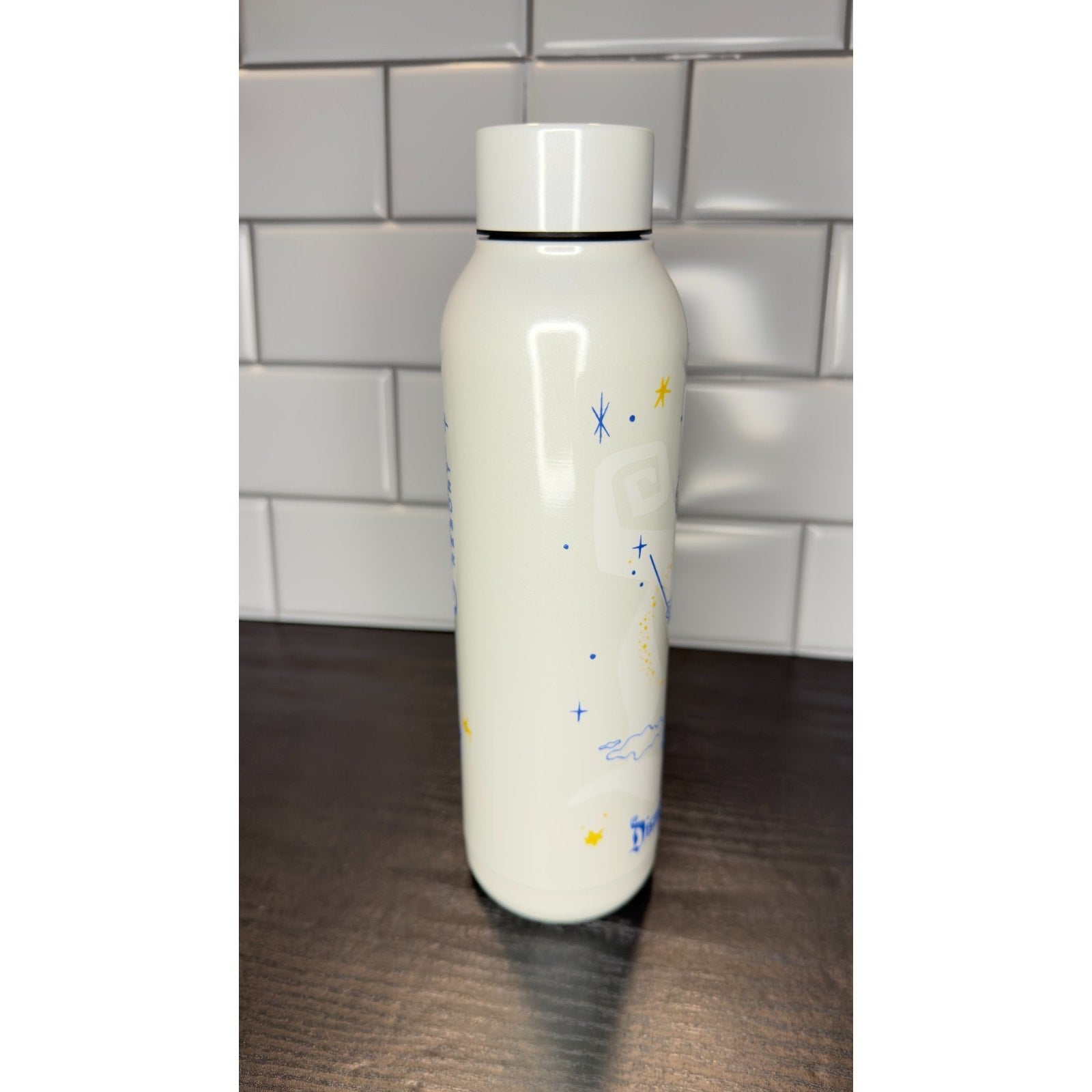 NWT Disneyland 70th Anniversary Tinker Bell Stainless Steel Water Bottle - 21 oz